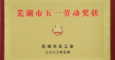 喜報！我們又獲獎了！